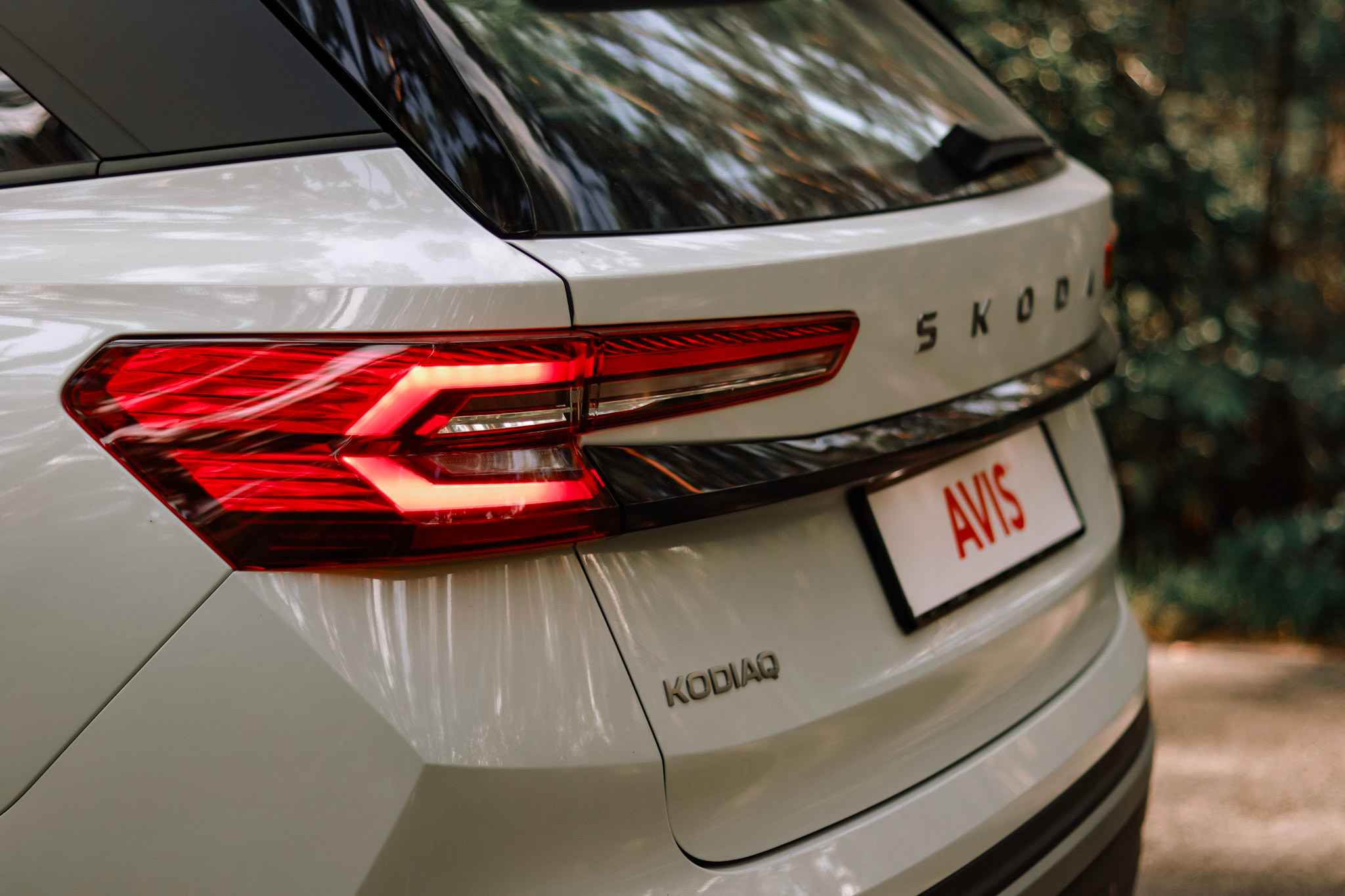 Skoda прокат авто