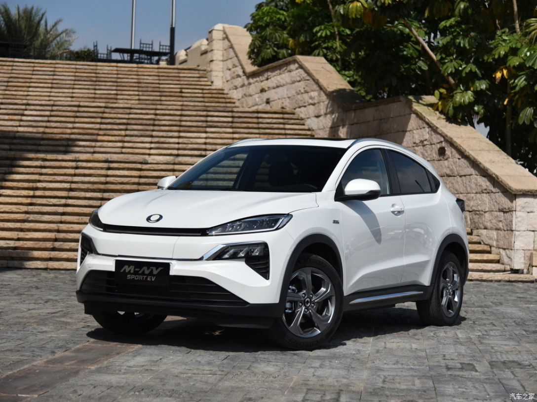 Honda M-NV, електромобілі в Україні, Найпопулярніші електромобілі
